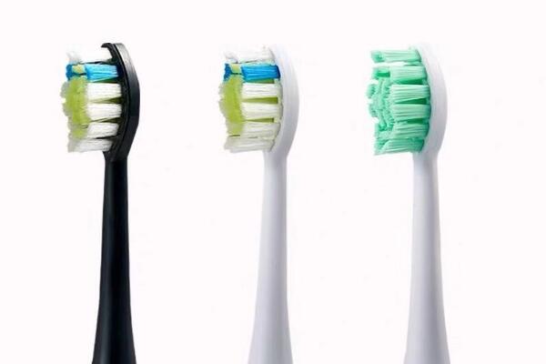 小米電動(dòng)牙刷頭 小米電動(dòng)牙刷頭